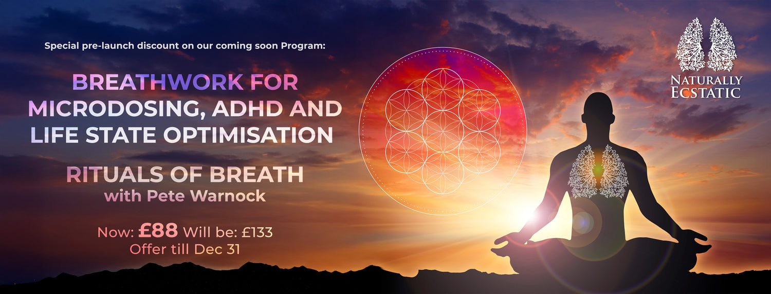 Breathwork Mastery for Microdosing and Beyond! – Enchanted Products
