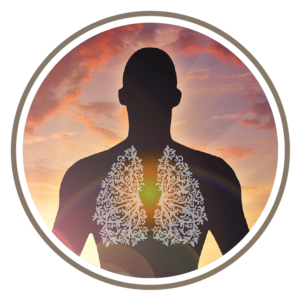 6 Week Breathwork Course