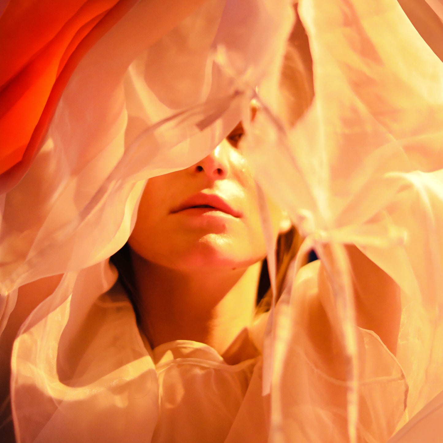 Embodied Presence: Reclaiming Our Ground
